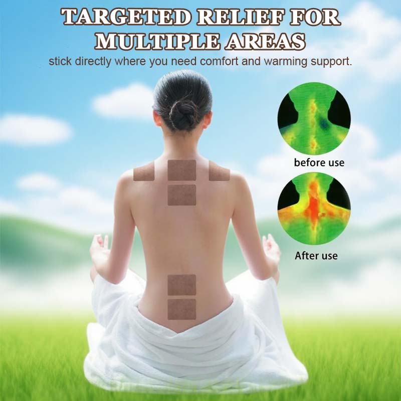 🔥2025 Neuankömmling 🔥Wermut-Moxibustion-Gelenkpflaster