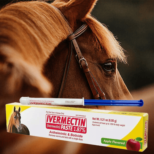 🔥Letzter Tag 49 % RABATT – Ivermectin-Pferdepaste 1,87 % 6,0 g Tuben