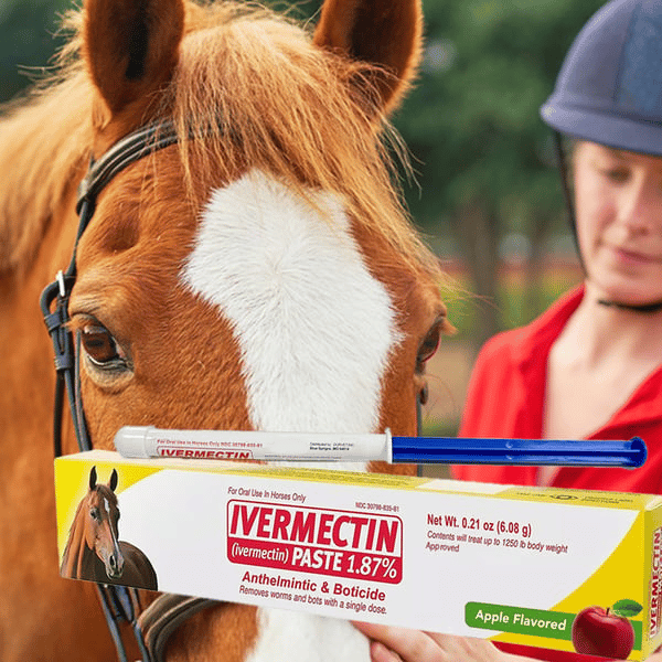 🔥Letzter Tag 49 % RABATT – Ivermectin-Pferdepaste 1,87 % 6,0 g Tuben
